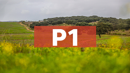 Ponto de Interesse - 1