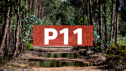 Ponto de Interesse - 11