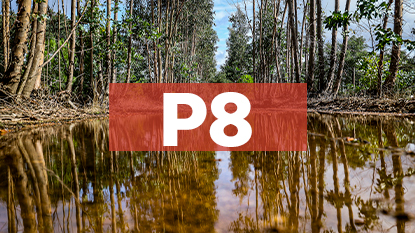 Ponto de Interesse - 8