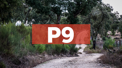 Ponto de Interesse - 9